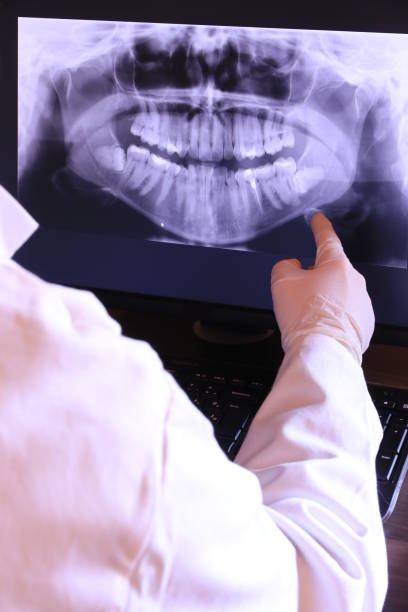 Best Emergency X-Rays and Diagnostics in Shinnston, WV